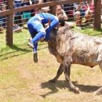 Diputados dejan fuera al torín del proyecto cultural