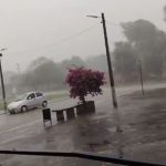Temporal dejó cortes de luz y caída de árboles en Pilar