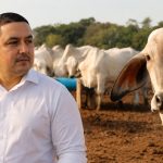 Abigeato en Benjamín Aceval: Prisión para precandidato a concejal cartista
