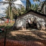 La OMS declara emergencia sanitaria mundial por el preocupante brote de ébola en África