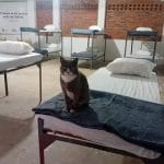 Asunción habilita albergue gratuito para personas vulnerables durante el frío