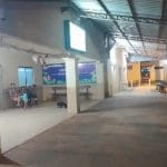 Bebé de 11 días lucha por su vida tras ataque en Santa Rosa