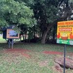 Venden huevos gracias a la honestidad de la gente en J. Eulogio Estigarribia