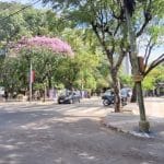 Clima estable y temperaturas en aumento esta semana